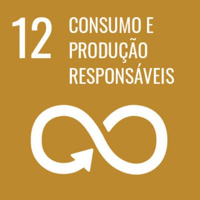 Consumo e produção responsáveis