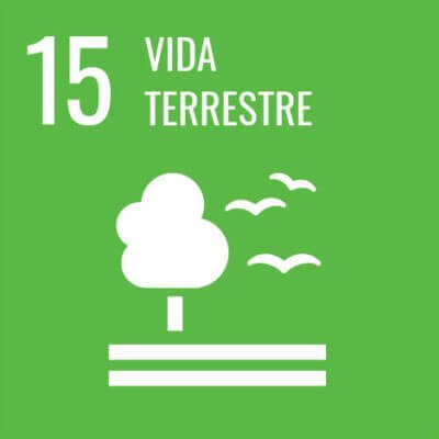 Vida terrestre