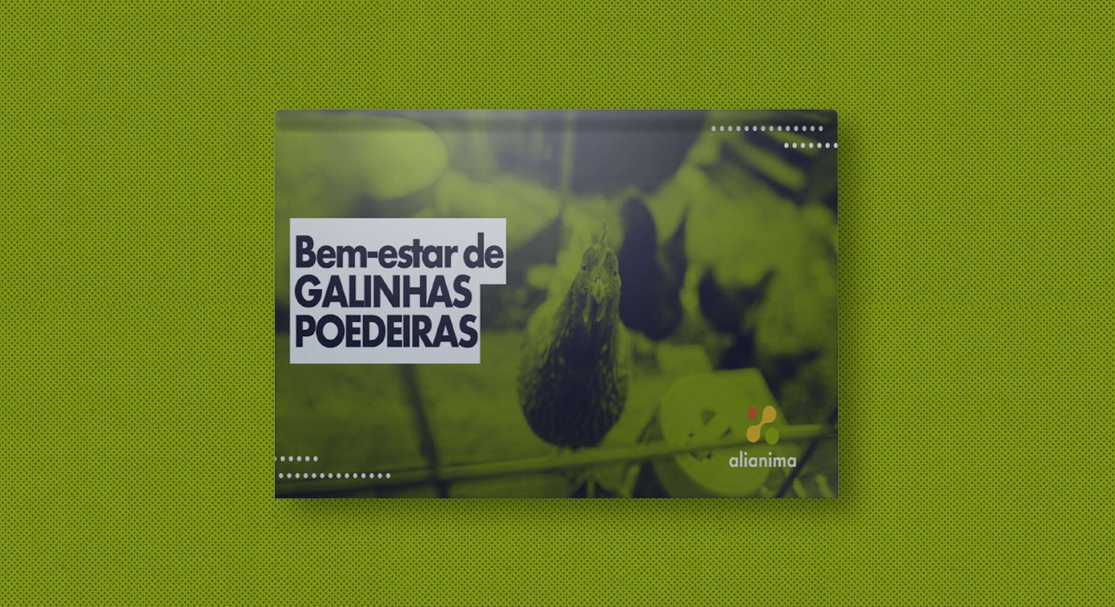 Cartilha Bem-Estar de galinhas poedeiras