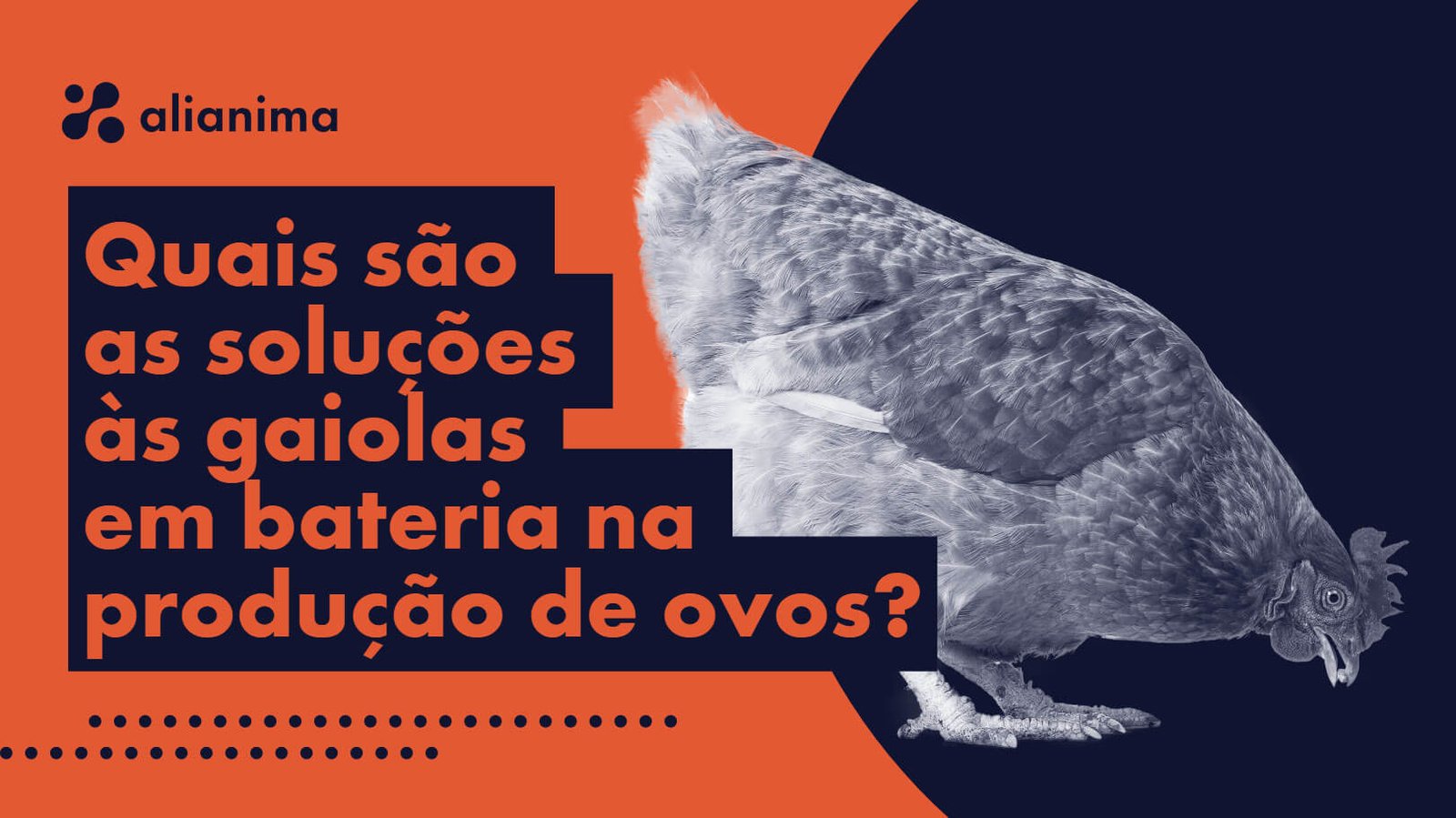 Entenda quais são as alternativas para acabar com o confinamento em gaiolas