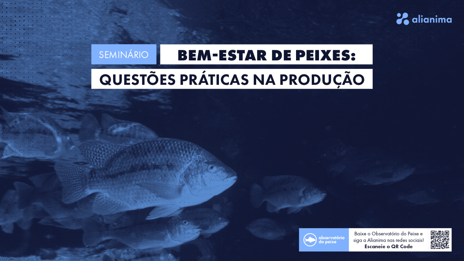 Seminário online gratuito discute bem-estar de peixes na piscicultura