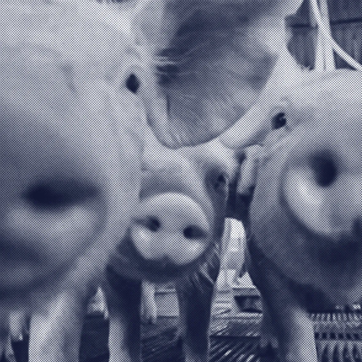 FAQ bem-estar animal