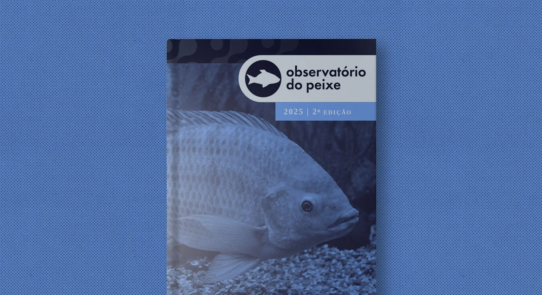 2ª edição do Observatório do Peixe